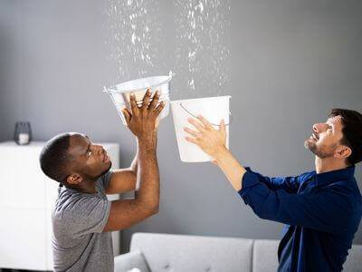 About Cupertino Mold Specialist - mold removal experts in Cupertino, CA